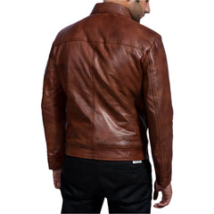 Brown Collar Leather Biker Dignity Jacket Men's